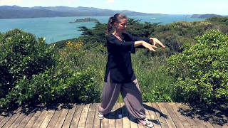 Tai Chi 5 Minutes a Day Module 01  Easy for Beginners  the Wave and Embracing the Moon [upl. by Fugere]