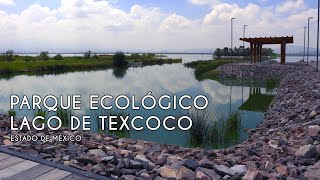 ASI SE VE el Parque Ecológico Lago de Texcoco  Trotamundos [upl. by Flann]