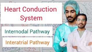 Heart Conduction System  Internodal Pathway  Interatrial Pathway [upl. by Aesoh]