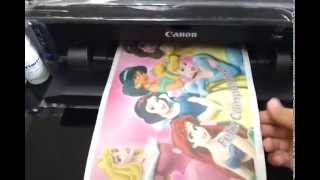 impresora canon ip 7210 con tinta comestible y papel de arroz [upl. by Hbahsur471]