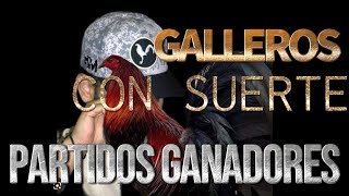 Galleros con suerte y Partidos Ganadores [upl. by Llewxam]