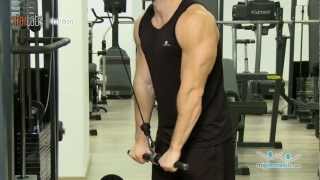 Extension de triceps con polea alta [upl. by Farrington603]