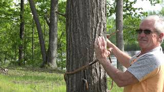 29 Girth hitch knot Ropeman ascender vs Prussic knot plus a Kill story [upl. by Eirok]