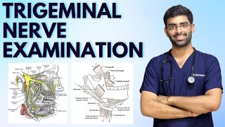 TRIGEMINAL NERVE EXAMINATION  CRANIAL NERVE EXAMINATION  NEUROLOGY [upl. by Arabrab]