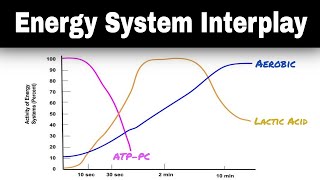 Learn how Energy System Interplay works Energy Continuum [upl. by Ellison]