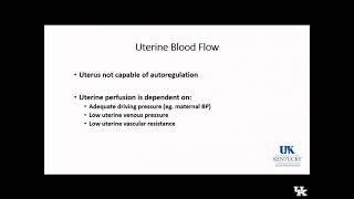 Obstetric Anesthesia Keyword Review Part 1 of 3  Dr Fragneto [upl. by Schulein89]