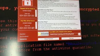 What happens when you run quotWannaCryquot Ransomware in Windows 10 [upl. by Dorinda]