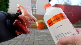 EXPERIMENT  Kann man mit Schwefelsäure Fleisch auflösen [upl. by Berkow]