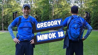 Gregory Mountain Miwok 18 2020 Liter Mens Hiking Daypack Backpack Review [upl. by Nakhsa]