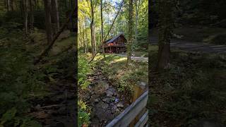 Secluded VRBO Cabin in Ellijay Ga Private with a running creek and lake shorts [upl. by Nifled829]