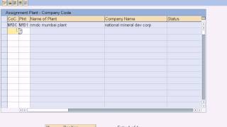 sap Sales and Distribution Configuration  Assign Plant to Cocd [upl. by Attekal]