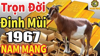 Xem Tử Vi Trọn Đời Tuổi Đinh Mùi Nam Mạng 1967 Được Lộc Trời MAY MẮN Giàu Có [upl. by Inad]