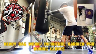 HEAVY BAG TRAINING Infinitude Harrier Pro Boxing Gloves BEST BANG FOR THE BUCK VELCRO GLOVES [upl. by Elocel]