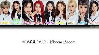 Momoland 모모랜드 – Bboom Bboom 뿜뿜 Lyrics HanRomEngColor Coded [upl. by Yanel]