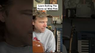 Learn ‘Dulling The Horns’ w Wild Pink [upl. by Macegan]