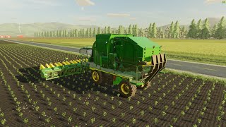 FS22 COTTON HARVESTING AND SOYABINE HARVESTING MICHIGAN FARM [upl. by Anirtruc]