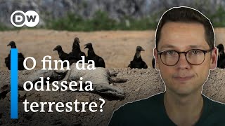 A sexta extinção em massa já começou o que nos espera [upl. by Fitton]