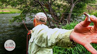 Fly Fishing Deschutes River Salmon Flies by Todd Moen [upl. by Crosley]