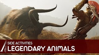 Assassins Creed Odyssey  All Legendary Animals The Goddesses Hunt Gameplay Walkthrough [upl. by Colley507]