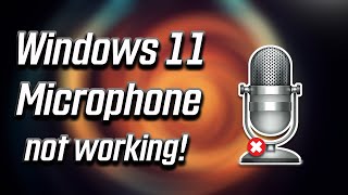 Fix Microphone Not Working on Windows 11 2024 [upl. by Enyal645]