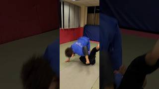 MUST WATCH 😉Omoplata sweep shortsbjj jiujitsu grappling sweeps martialarts mmacloseguard [upl. by Karrie]