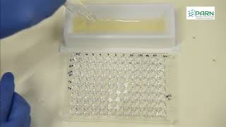 MIC by Microbroth dilution method [upl. by Luht]