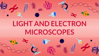 WHAT ARE LIGHT AND ELECTRON MICROSCOPES  HOW DO THEY WORK [upl. by Darnell670]