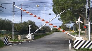 Spoorwegovergang Sammichele di Bari I  Railroad crossing  Passaggio a livello [upl. by Konstantine]