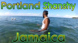 Portland Jamaica Shanshy Beach Mi Reach Travel Vlog [upl. by Inaluiak431]