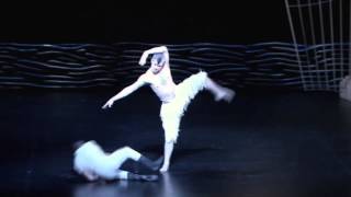 Matthew Bournes Swan Lake [upl. by Blynn87]