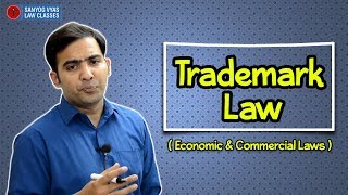 Economic amp Commercial Laws  CS Executive  Trademark Law Explained By Advocate Sanyog Vyas [upl. by Nelo85]