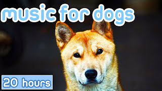 NO ADS Music for Dogs Gentle Songs to Promote Sleep Cure Depression [upl. by Acinonrev798]