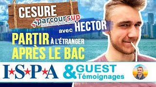 Partir 1 an à létranger APRÈS LE BAC  Hector avec ISPA [upl. by Josephine]