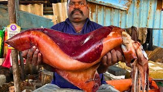 KASIMEDU 🔥 SPEED SELVAM  BIGG ORANGE SQUID 🦑 CUTTING VIDEO  IN KASIMEDU  FF CUTTING 🔪 [upl. by Melbourne897]