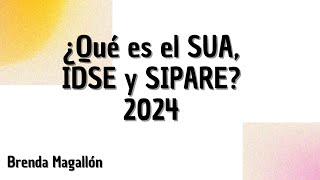 ¿Qué es el SUA IDSE y SIPARE 2024 [upl. by Noraed595]