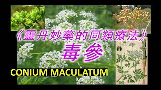 《靈丹妙藥的同類療法》 EP57  毒參 Conium Maculatum [upl. by Lapham]