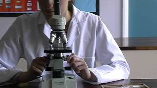 Calibration of a microscope [upl. by Vasta]