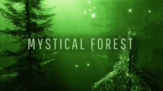 Enchanting Forest Music 🎵 for Relaxation and Meditation 🌲✨ Path to The Elven Lands [upl. by Annaili79]