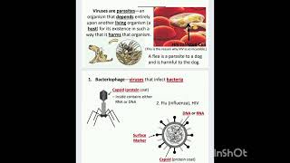 VirusViroidsPrions and Lichen🦠🦠🦠🦠🤔🤔🤔🤔🤦🤷🙆 [upl. by Couture]