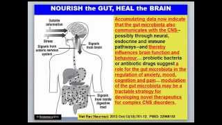 Gut Origin of Methylation Problems Part 1 [upl. by Leveroni]