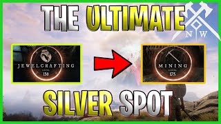 The BEST Silver Farming Spot  New World MMO [upl. by Narual]