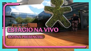 Rotina de estagiária na Vivo Telefônica  Estágio na Vivo estagio trabalho ti [upl. by Krishna]