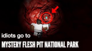 stinky idiots go to mystery flesh pit national park  roblox mystery flesh pit [upl. by Tiphany]