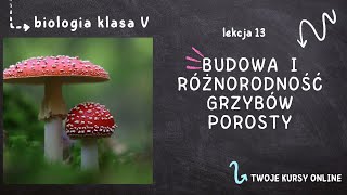 Biologia klasa 5 Lekcja 13  Budowa i różnorodność grzybów Porosty [upl. by Westfall86]