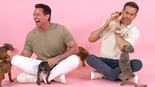 Ryan Reynolds and Hugh Jackman The Puppy Interview [upl. by Lewej]