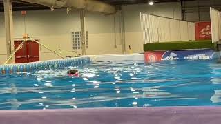 Kentuckiana Cluster dog show NADD Dock Diving junior division Brinxy [upl. by Atikihs]