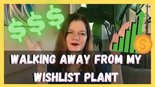 5 Reasons Why Plants Are Getting So Expensive  Do Rare Plants Cost Too Much  Soiled Plant [upl. by Humfrid671]