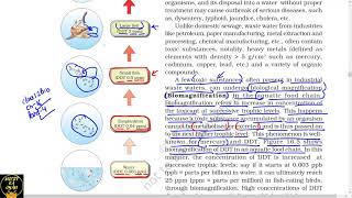 Part 4 Biomagnification and EutrophicationNcert class 12th biology [upl. by Maggie]