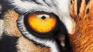 ojo de tigre Tigers Eye remix dj jeyck brazon [upl. by Kalin]