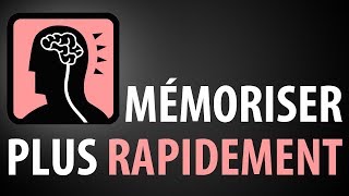 12 Techniques pour MÉMORISER les Choses Plus Rapidement [upl. by Sinnod]